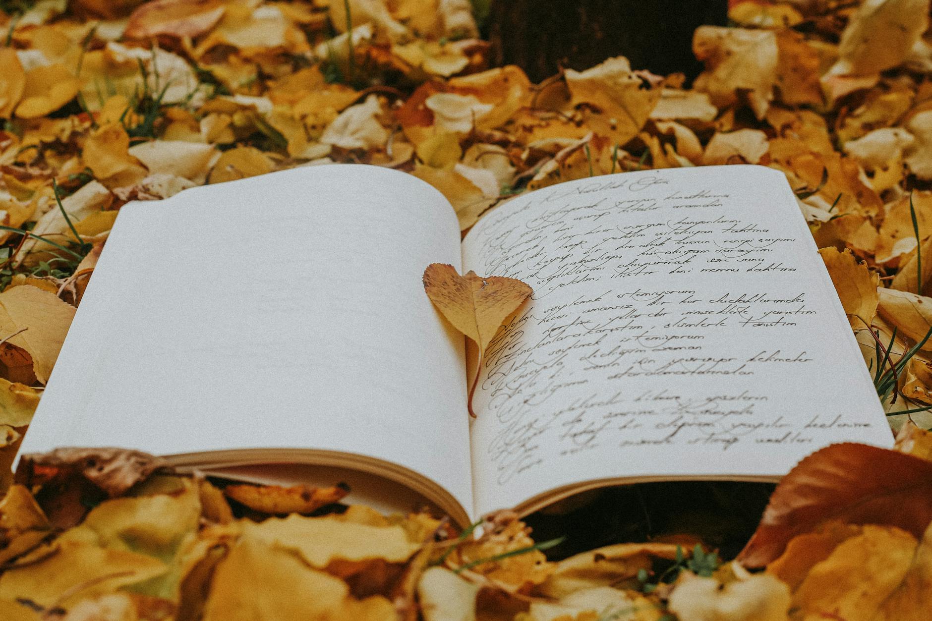 You Are the Voice Behind the Vision open book on autumn leaves with heart shaped leaf